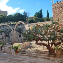 In the fort Castillo de Santa Bárbar of Alicante